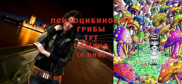 дурь Инта