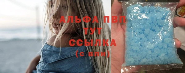 дурь Инта