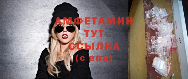 дурь Инта
