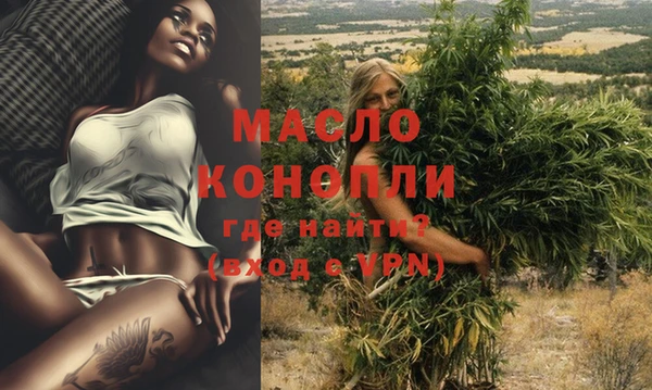 дурь Инта