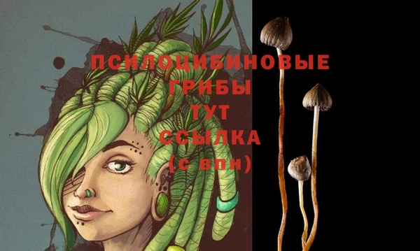 метадон Зерноград